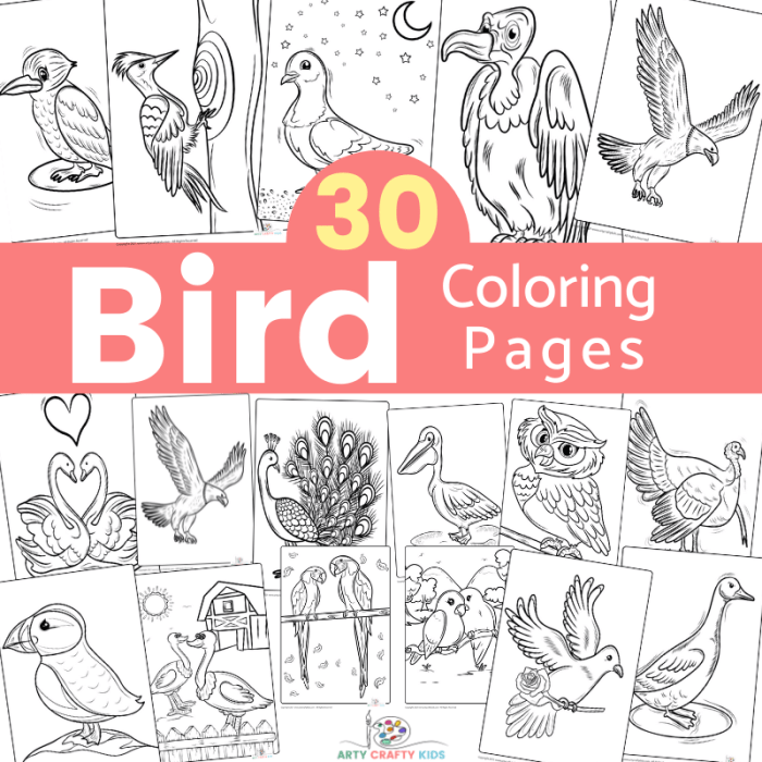 Animated birds in backyard coloring page