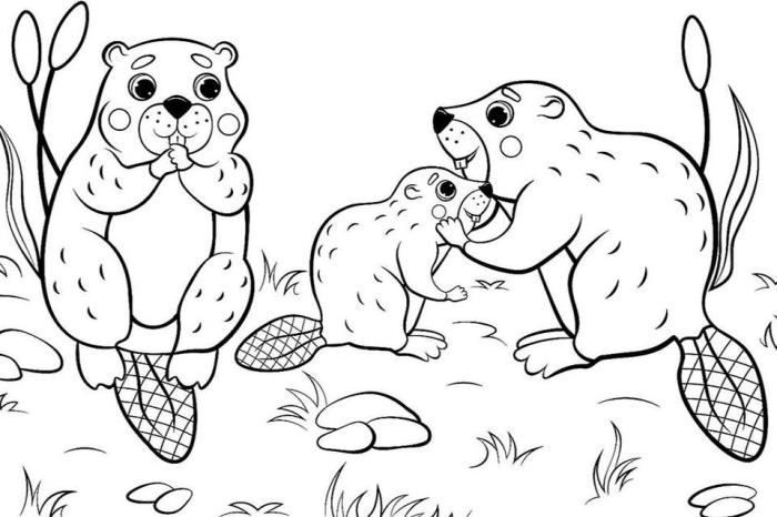 Coloring pages free animals