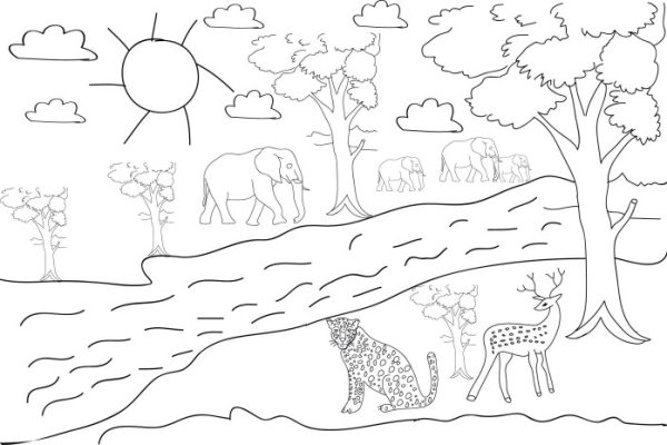 Animals in the forest coloring pages