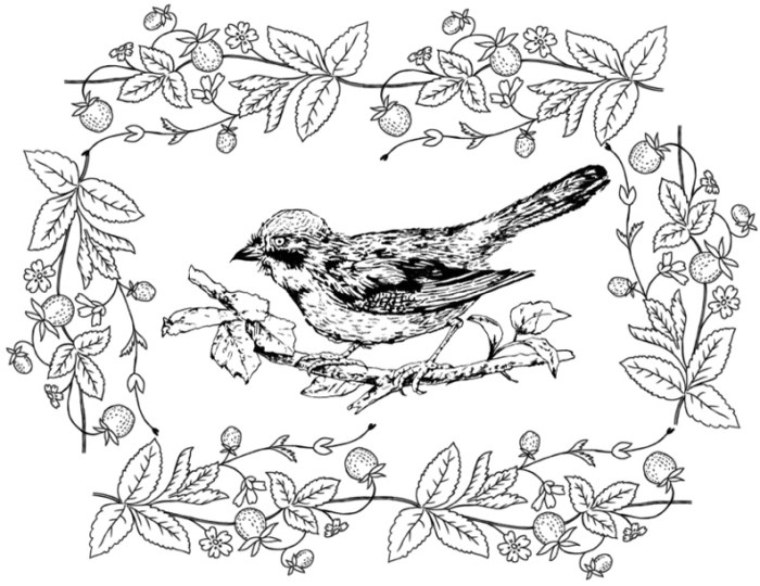 Animated birds in backyard coloring page