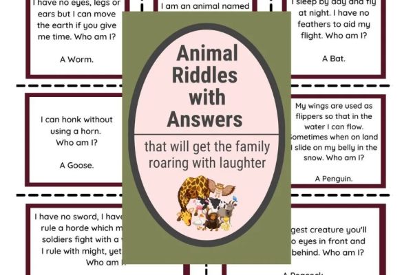 Animal riddles coloring book