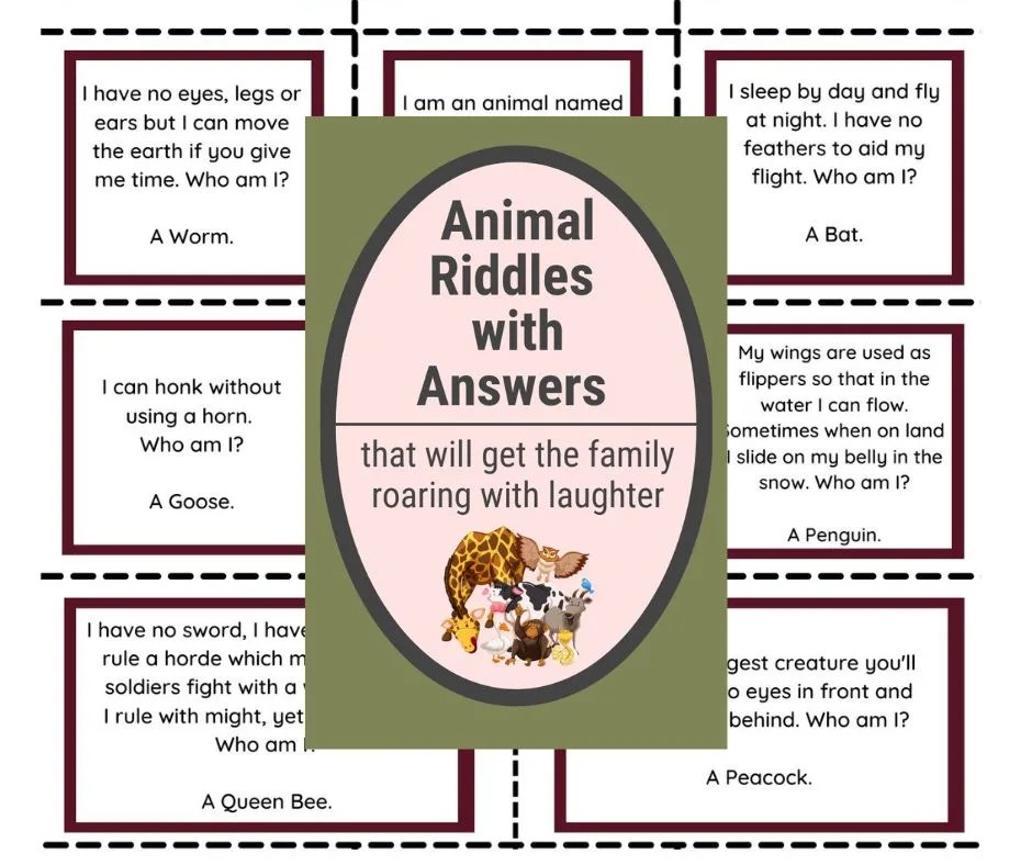 Animal riddles coloring book