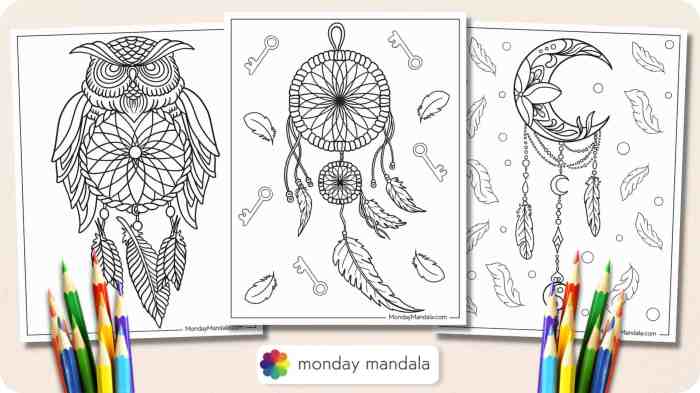 Animal catcher coloring pages