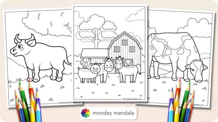 Animal coloring page assortment pdf