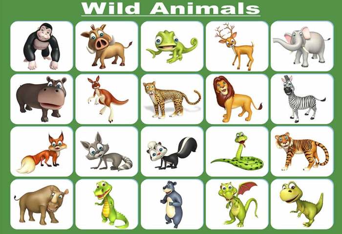 Animals learning english with pictures coloring