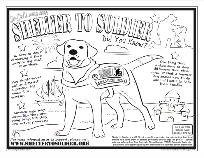 Animal catcher coloring pages