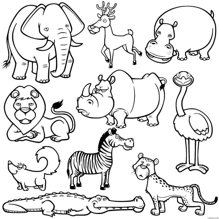 Coloring page with lots of animals