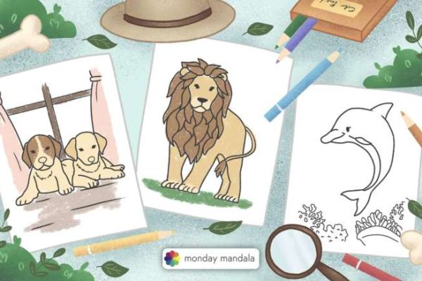 Animal coloring pages for kids