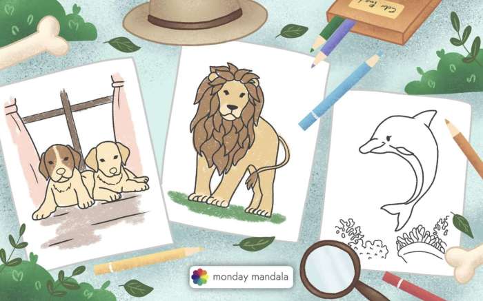 Animal coloring pages for kids