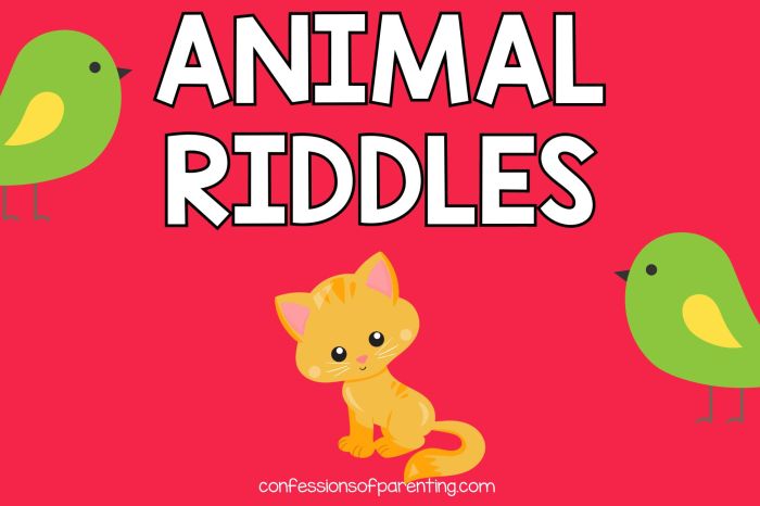 Animal riddles coloring book