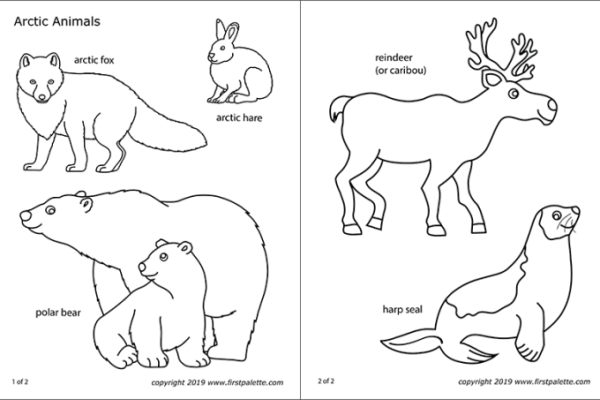 Free coloring pages of arctic animals