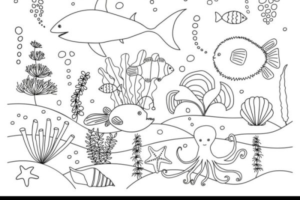 Coloring images of sea animals