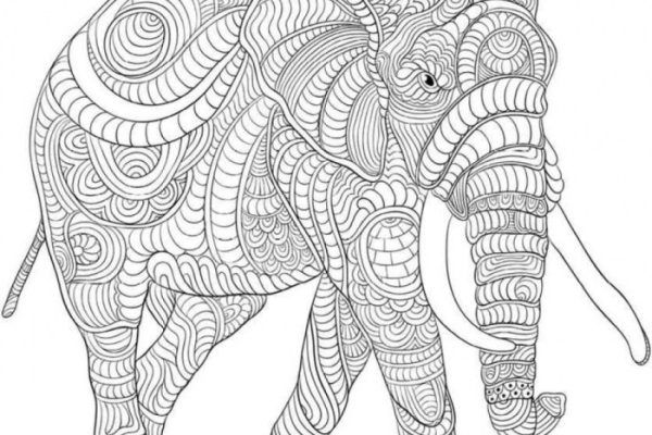 Coloring pages difficult animals