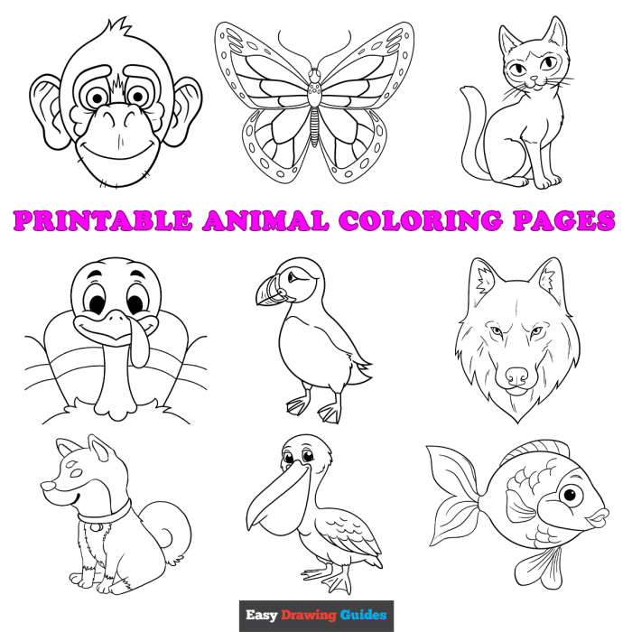 Coloring pictures of animals printable