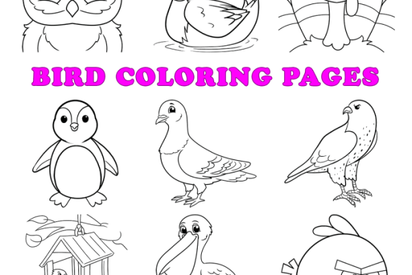 Animated birds in backyard coloring page