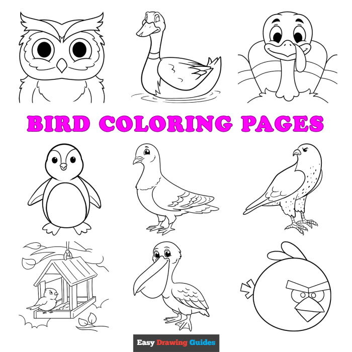 Animated birds in backyard coloring page