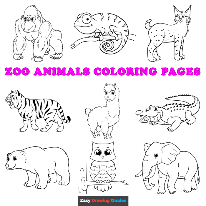 Animals of the zoo coloring pages