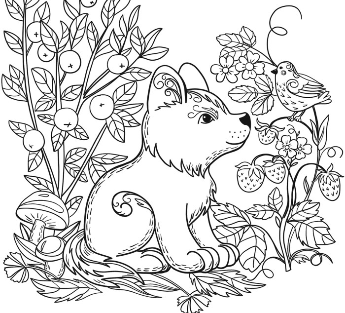 Animal clipart coloring pages