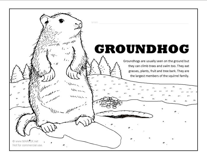 Animal groundhog day coloring pages