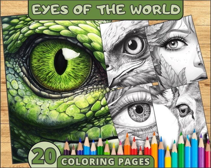 Eyeball coloring sheet human and animals