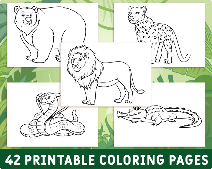 Animal coloring pages all