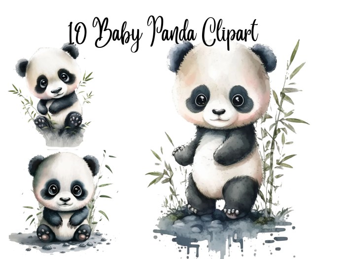 Animated baby pandas coloring pages