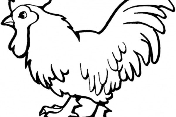 Animated baby farm animal coloring pages