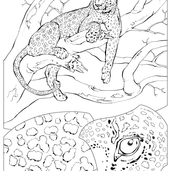 Animal camouflage coloring page