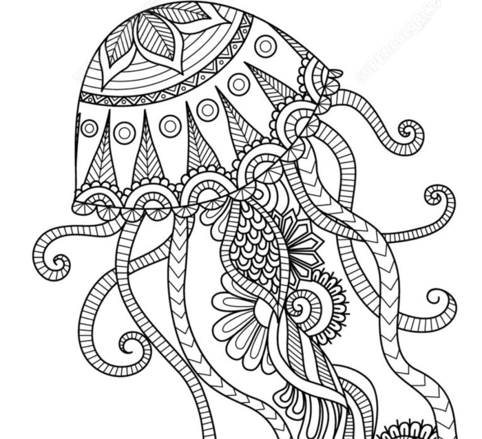 Animal zentangle coloring page easy