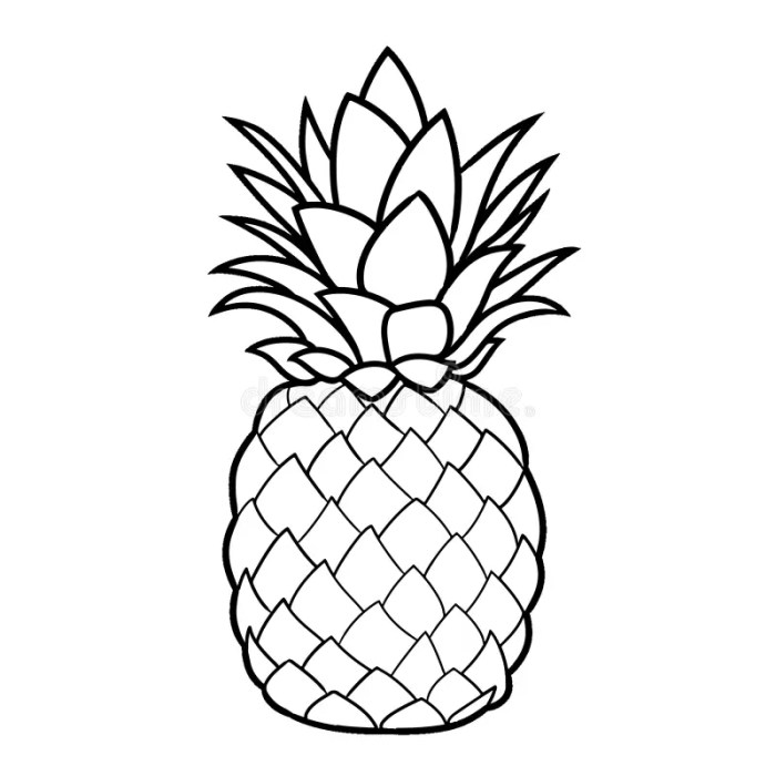 Animated pinapple coloring pages