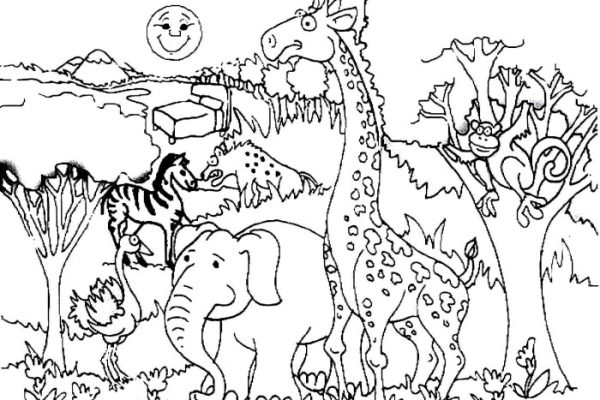 Forrest animals coloring pages