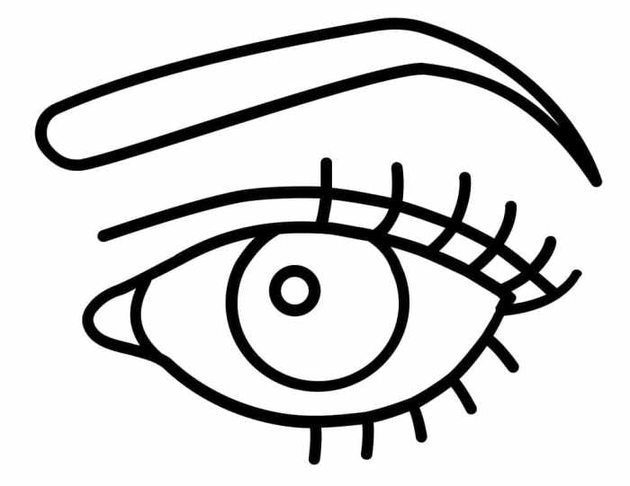 Eyeball coloring sheet human and animals