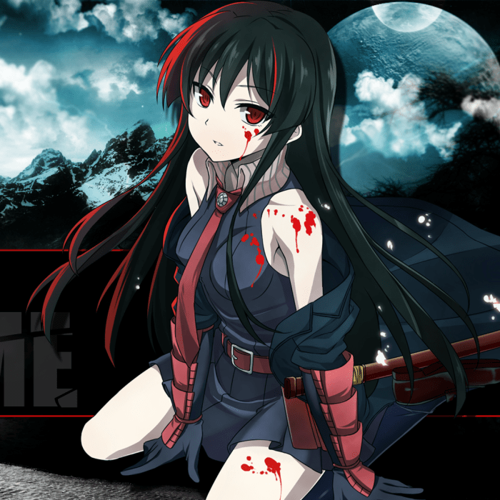 Anime akame ga kill coloring page