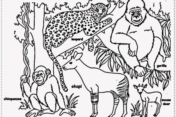 Easy jungle animals coloring pages