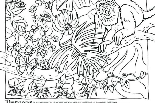 Animal camouflage coloring page